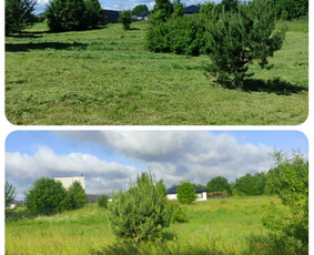 Aukštos žolės pjovimas, smulkinimas. / Ovidijus / Darbų pavyzdys ID 2274366