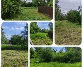 Aukštos žolės pjovimas, smulkinimas. / Ovidijus / Darbų pavyzdys ID 2274376