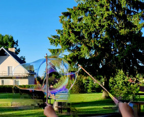 Lauko žaidimų nuoma Šiauliuose / Lauko žaidimų nuoma / Darbų pavyzdys ID 2276724