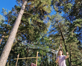 Lauko žaidimų nuoma Šiauliuose / Lauko žaidimų nuoma / Darbų pavyzdys ID 2276726