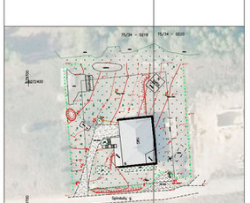 Topografija Ribų ir statyb. žymėjimai Geodezija Kadastras / matininkas - geodezininkas E. Kvedaras / Darbų pavyzdys ID 2278542