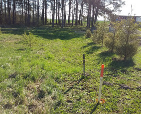 Topografija Ribų ir statyb. žymėjimai Geodezija Kadastras / matininkas - geodezininkas E. Kvedaras / Darbų pavyzdys ID 2278566