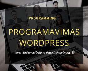Programavimas su WordPress - Internetinių svetainių ir el. parduotuvių kūrimas - 1