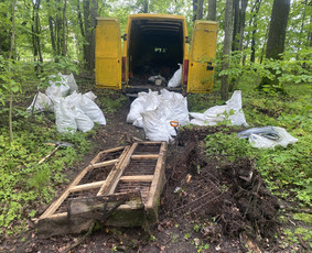 Šakų išvežimas - Greitas krovinių (šiukšlių išvežimas) - 1