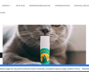 Interneto svetainių kūrimas, El. parduotuvių kūrimas - El. parduotuvių kūrimas su OpenCart - 2 El. parduotuvių kūrimas su OpenCart - Interneto svetainių kūrimas, El. parduotuvių kūrimas - 2