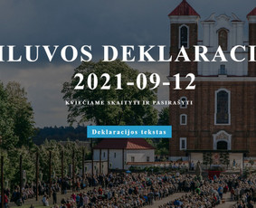 https://www.siluvosdeklaracija.lt/
Technologija - wordpress