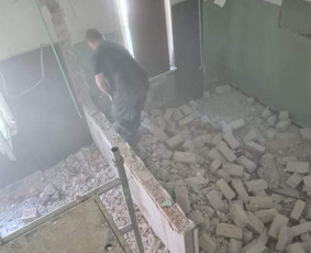 Pigus šiukšlių išvežimas/griovimo darbai / Romas / Darbų pavyzdys ID 2283338