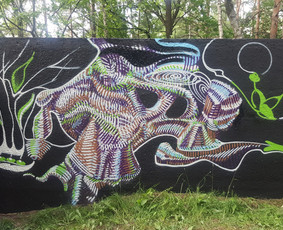 Murals / Frankie Nesbitt / Darbų pavyzdys ID 2288176