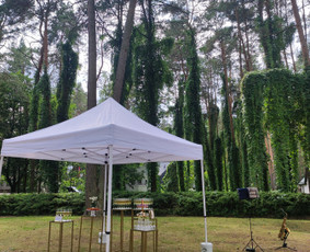 Saksofonistas Tadas jūsų renginiams / Tadas Bružas / Darbų pavyzdys ID 2291260