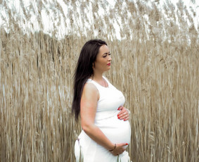 Fotografija / Baltanagė Hiena / Darbų pavyzdys ID 2291908