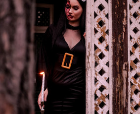 Fotografija / Baltanagė Hiena / Darbų pavyzdys ID 2292256