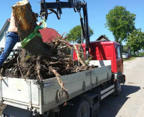 Mini Ekskavatoriaus, bobcat, savivarčio ir krano paslaugos / MB LANDCORAS / Darbų pavyzdys ID 2293194