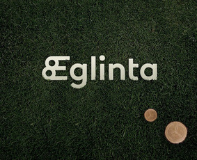 Logotipų kūrimas - Logotipų kūrimas + firminis stilius  Brandbook  18 m - 4