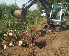 Žemės kasimo darbai, pagrindų ruošimas, gerbūvis - Mini ekskavatoriaus nuoma - 2 Mini ekskavatoriaus nuoma - Žemės kasimo darbai, pagrindų ruošimas, gerbūvis - 2