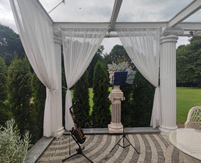Saksofonistas Tadas jūsų renginiams / Tadas Bružas / Darbų pavyzdys ID 2297542