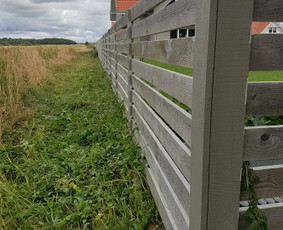 Krūmų/žolės pjovimas, miško sodinimas, Jaunuolynų ugdymas, / MB Siberija / Darbų pavyzdys ID 2297678