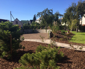 Kraštovaizdžio projektavimas - Apželdinimo sprendimai - 1