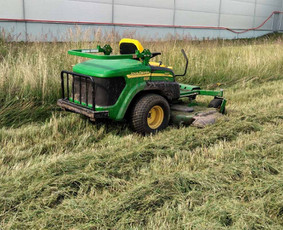 Aplinka, sodas - Apželdinimo darbai, aplinkos tvarkymas - 2