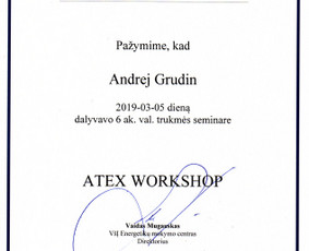 Eso įvadai Profesionalus Generatorių ir Ups pajungimas +Ru / ELEKTARA, UAB. Darome kaip priklauso. / Darbų pavyzdys ID 2302254