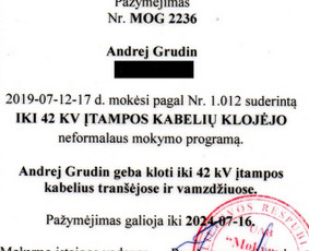Eso įvadai Profesionalus Generatorių ir Ups pajungimas +Ru / ELEKTARA, UAB. Darome kaip priklauso. / Darbų pavyzdys ID 2302258