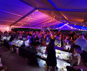 Mobilus kokteilių baras vakarėlyje - Barmen For You - Bfy mobilus baras - 2