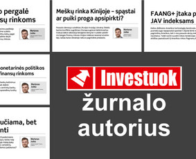 Investavimo konsultacija: pradžia ir portfelio peržiūra / Martynas Juška / Darbų pavyzdys ID 2302624