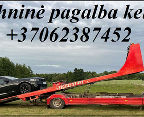 Platformos,traliuku ir priekabu nuoma Alytus ! / Platformu, traliuku ir priekabu nuoma / Darbų pavyzdys ID 2303056