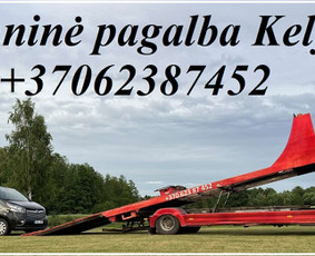 Platformos,traliuku ir priekabu nuoma Alytus ! / Platformu, traliuku ir priekabu nuoma / Darbų pavyzdys ID 2303066