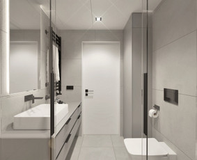 Interjero Dizainas / 3d Vizualizacijos / Brėžiniai / Vaizu Studio / Darbų pavyzdys ID 2304060