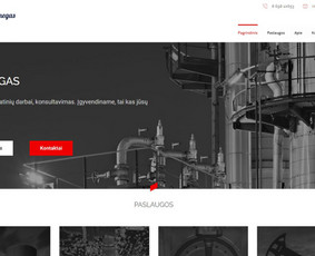 Svetainių kūrimas - Interneto Svetainių Kūrimas, El. Parduotuvės - 3