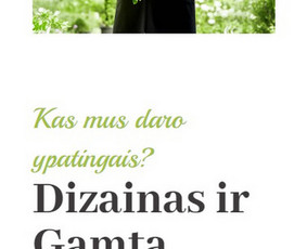 Interneto Svetainių Kūrimas, Atnaujinimas. El. Parduotuvės / Interneto svetainių kūrimas / Darbų pavyzdys ID 2304776