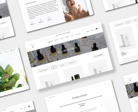 Ui/ux/branding/grafikos/pakuočių dizaino sprendimai / Rekos Agency / Darbų pavyzdys ID 2310080