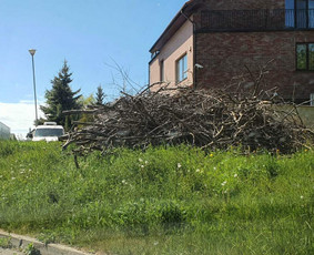 Griovimo Statybos darbai senų baldu šiukšlių išvežimas / darbokomanda.lt / Darbų pavyzdys ID 2310950