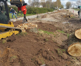 Apleistų sklypų tvarkymas - Avarinių medžių pjovimas - 4 Avarinių medžių pjovimas - Apleistų sklypų tvarkymas - 4