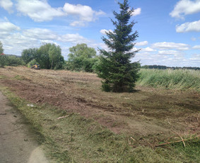 Apleistų sklypų tvarkymas - Šakų smulkinimas - 1 Šakų smulkinimas - Apleistų sklypų tvarkymas - 1