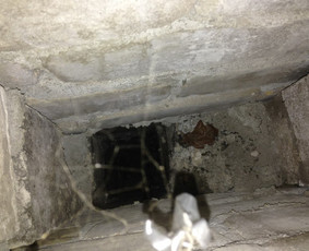 Kaminų valymas Ventileciju valymas lietvamsdziu valymas / Edikas Lisauskas / Darbų pavyzdys ID 398215