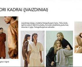 Komercinės fotosesijos moodboardas.