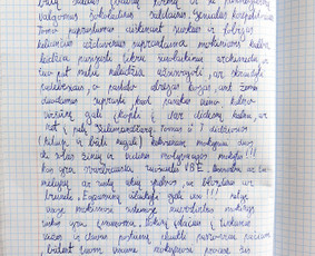 Matematika - skubus ruošimas egaminams / Tomas / Darbų pavyzdys ID 2320408