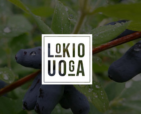 Minimalistiniai logotipai, pakuotės ir etiketės jūsų verslui / Urtė / Darbų pavyzdys ID 2324294