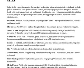 Tekstų interneto svetainėms kūrimas - Tekstų kūrėja - 2