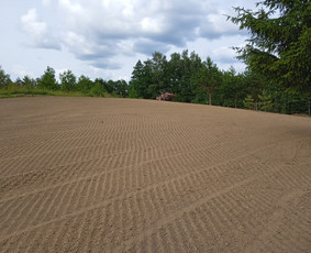 Apleistų sklypų tvarkymas - Vejos įrengimas - 2