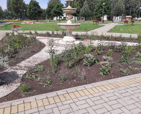 Augalų ir medelių sodinimas - Teritorijų tvarkymas ir želdinimas - 1