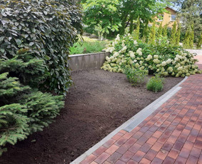 Teritorijų tvarkymas ir želdinimas - Kiemo, aplinkos apželdinimas - 3 Kiemo, aplinkos apželdinimas - Teritorijų tvarkymas ir želdinimas - 3