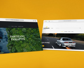 Interneto svetainių ir el.parduotuvių kūrimas, seo paslaugos / Justas Radvila / MB Gotidea / Darbų pavyzdys ID 2328964