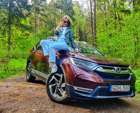 Automobilių ir mikroautobusų nuoma  Šiauliuose / UAB DonAuto / Darbų pavyzdys ID 2337578