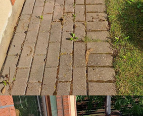 Trinkelių Ir Terasų Atnaujinimo Darbai - Aplinka, sodas - 4 Aplinka, sodas - Trinkelių Ir Terasų Atnaujinimo Darbai - 4