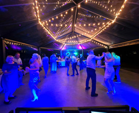 Vedėjas/dj viename - All inclusive / Edgaras Bomblauskas / Darbų pavyzdys ID 2345430