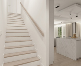 Interjero Dizainas / 3d Vizualizacijos / Brėžiniai / Vaizu Studio / Darbų pavyzdys ID 2354353