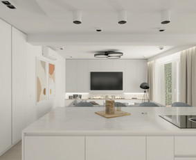 Interjero Dizainas / 3d Vizualizacijos / Brėžiniai / Vaizu Studio / Darbų pavyzdys ID 2354355