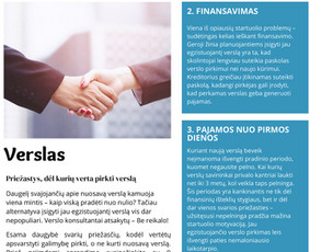 Straipsnių rašymas - Tekstų kūrėja - 3